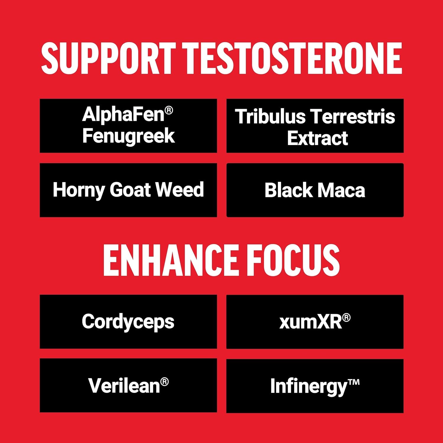 Test X180 Surge Testosterone Support for Men, Male Vitality Enhancing Supplement, Promote Muscle & Strength, Support Weight, Boost Long-Lasting Energy, 60 Capsules