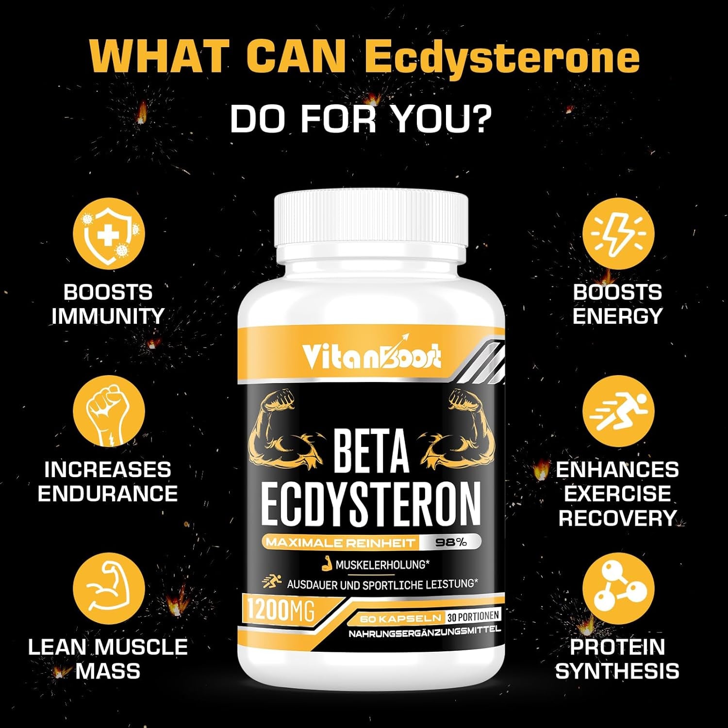 Beta Ecdysterone Supplement 1200Mg | Increases Lean Muscle Mass, Exercise Performance, Strength and Protein Synthesis, 98% Maximum Purity Formulated for Enhanced Absorption 60 Capsules|1 Month Supply