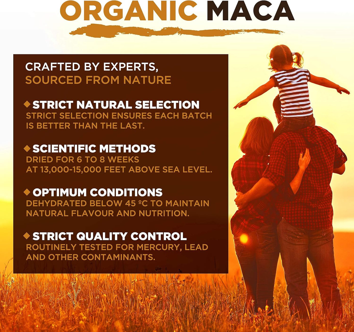 Maca Root Capsules | for Women and Men | Organic | Gelatinized | 180 Capsules | 2400Mg per Serving | Hormone Balance & Energy | Mysuperfoods