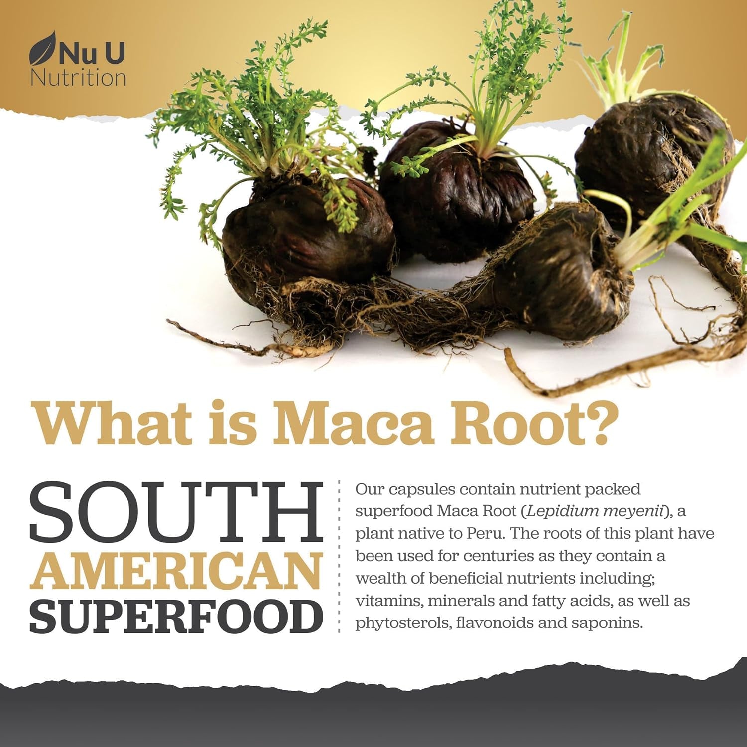 Maca Root 6000Mg - High Strength Complex with Black Peruvian Maca, Korean Panax Ginseng & Black Pepper - 180 Vegan Capsules - 6 Month Supply - Capsules Not Tablets