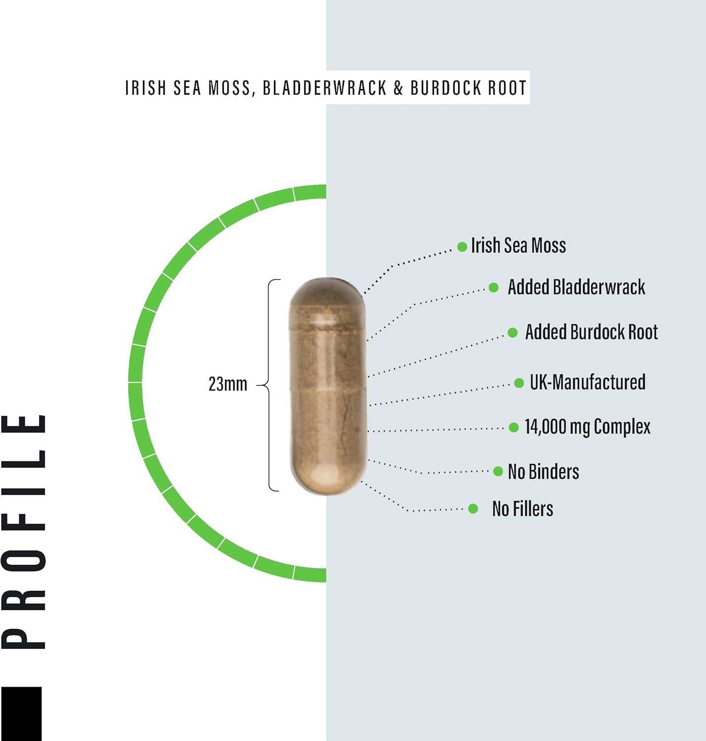 Sea Moss Complex 14,000Mg Extract Including Bladderwrack & Burdock Root - 120 High Strength Capsules Providing 120 Day Supply - North Atlantic Irish Sea Moss Supplement - Vegan & UK Made